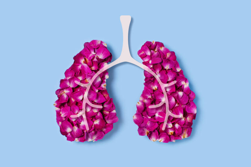 O tratamento caseiro e as ervas medicinais ajudam a tratar a pneumonia?