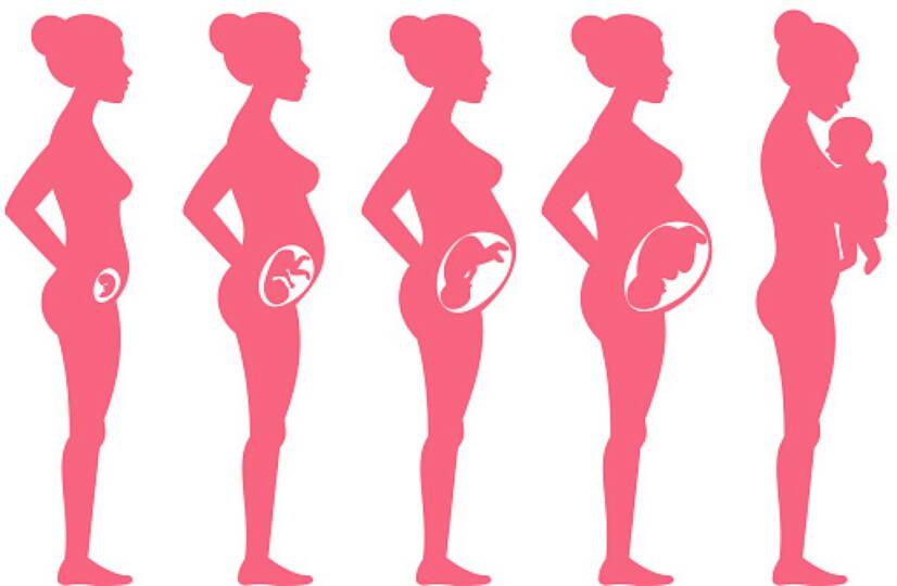Gravidez por semanas: como se processa a gravidez e o desenvolvimento fetal?