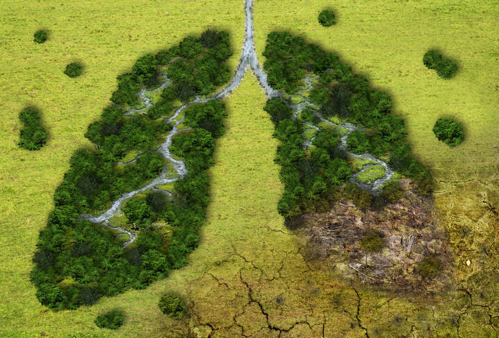 O Dia Mundial da Saúde recorda-nos a importância de proteger a natureza