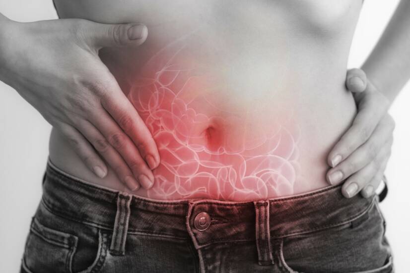 Que funções desempenha o intestino delgado? As doenças e os sintomas mais comuns