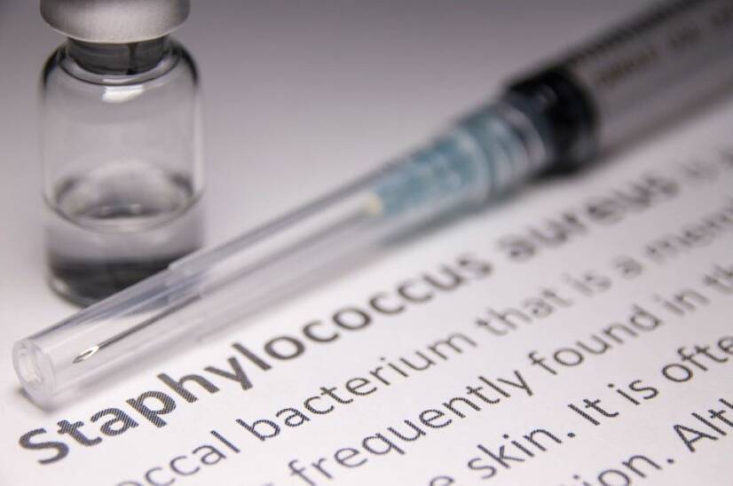 Estafilococos dourados: o que é, transmissão, sintomas e tratamento, como se proteger?