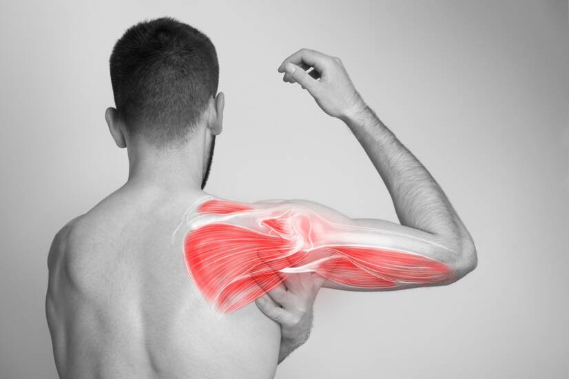 Dor nos músculos, em todo o corpo e nos membros como sintoma da doença?