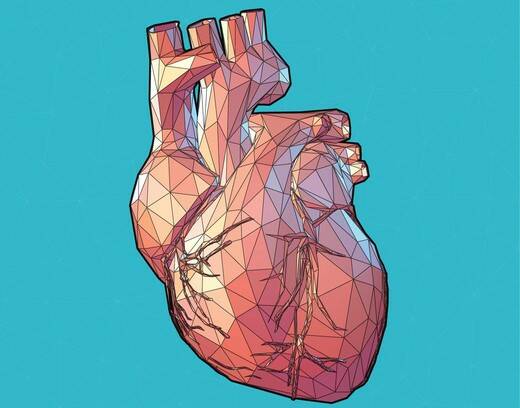Aumento do coração: por causa médica ou por causa do desporto? (Cardiomegalia)