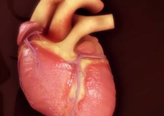 Tetralogia de Fallot: O que é e como se manifesta esta malformação congénita?