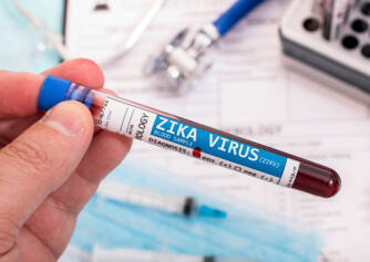 Vírus Zika: o que é, como se transmite e quais são os sintomas?