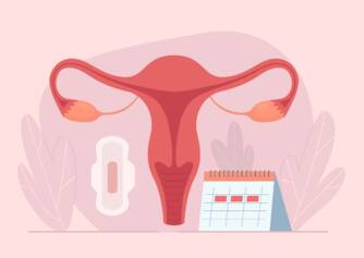 Como funciona o ciclo menstrual? Duração e fases do ciclo + sintomas