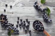 Aronia: quais os efeitos na saúde (cultivo, utilização)