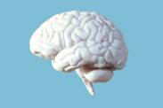 Abcesso cerebral: o que é e como se manifesta? Porque é que ocorre uma infeção cerebral?