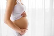 23ª semana de gravidez: o crescimento fetal é rápido? (23ª TT)