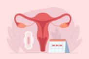 Como funciona o ciclo menstrual? Duração e fases do ciclo + sintomas