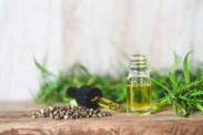 CBD - Cannabidiol: O que é e quais são os seus efeitos? É seguro utilizá-lo?