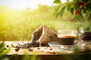 Café: quais são os tipos de café? Efeito não só na perda de peso + cafeína e o seu conteúdo