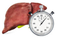 Não perca tempo, proteja o seu fígado! Como cuidar do seu fígado?