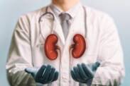Doenças renais: da inflamação aos cálculos, passando pela insuficiência renal? e os seus sintomas