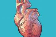 Aumento do coração: por causa médica ou por causa do desporto? (Cardiomegalia)